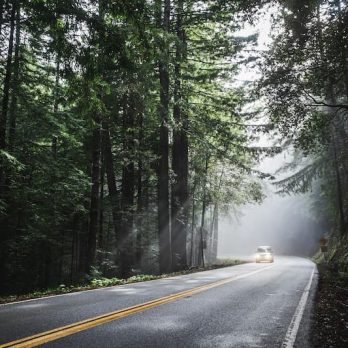 10 eco-tourism ideas in the USA