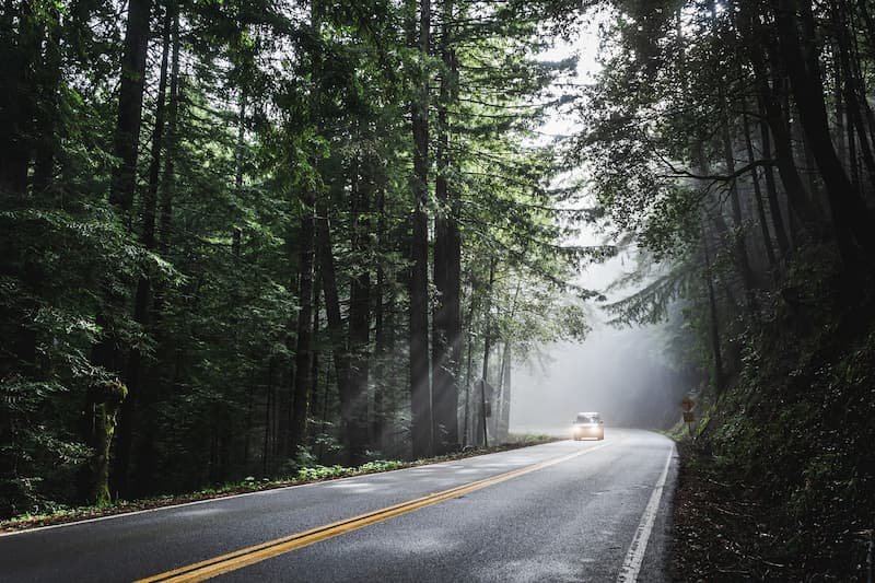10 eco-tourism ideas in the USA