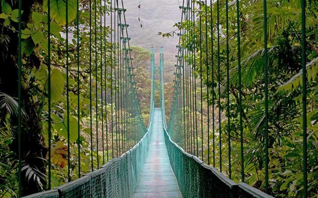 Monteverde-Costa-Rica