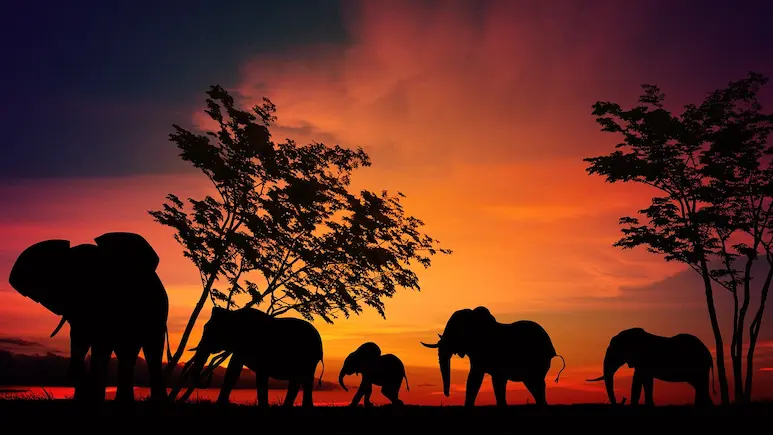 Serengeti is one of the Worlds Most Amazing National Parks