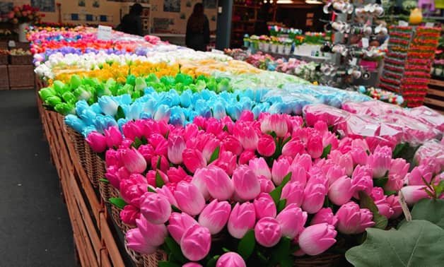 Visit-the-tulips-market