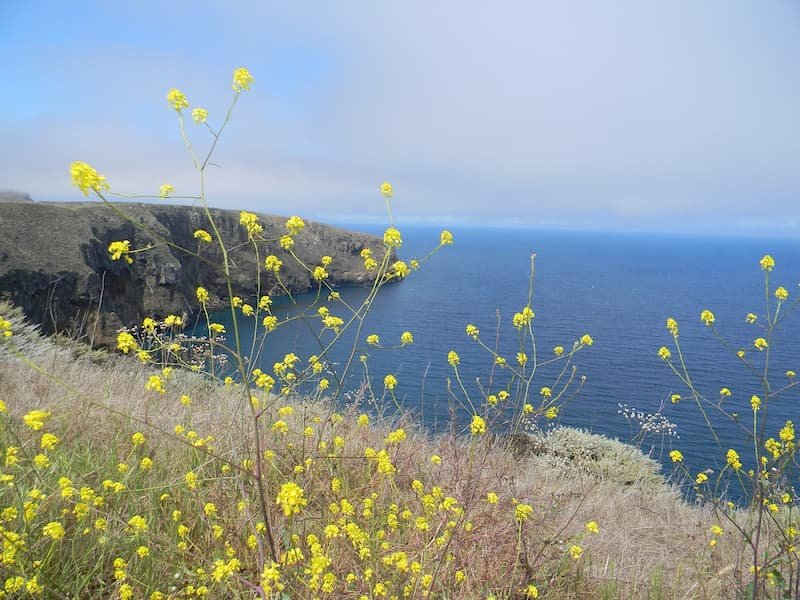 channel islands national park by ecpfriendly car