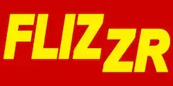 FLIZZR Car Rental Company