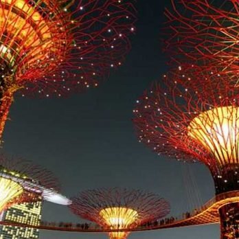 Gardens by the Bay (Singapur)