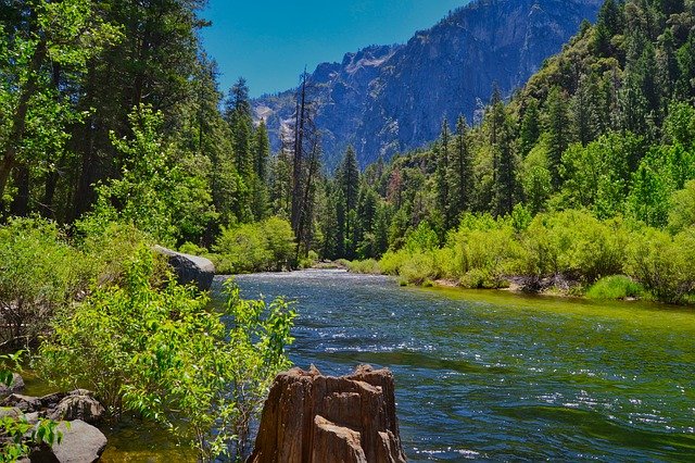 Yosemite National Park