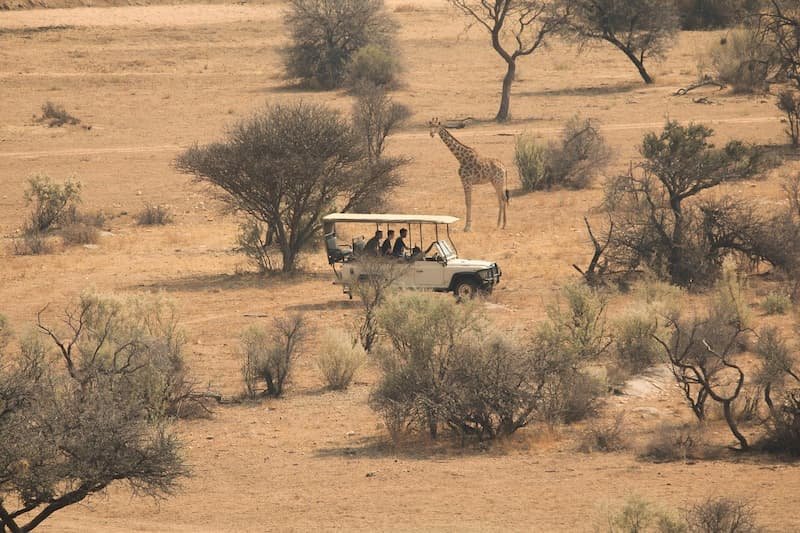 luxury safari for seniors in savannah, South Africa
